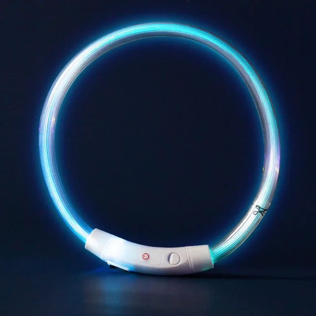 Pet Dog Led Light Collar Luminous Anti-Lost Dog Collar USB Rechargeable Dog Necklace Collar